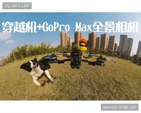 K8平台官网游戏种类全景介绍及玩法技巧分享